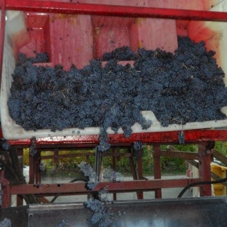 Recline Ridge Winery
