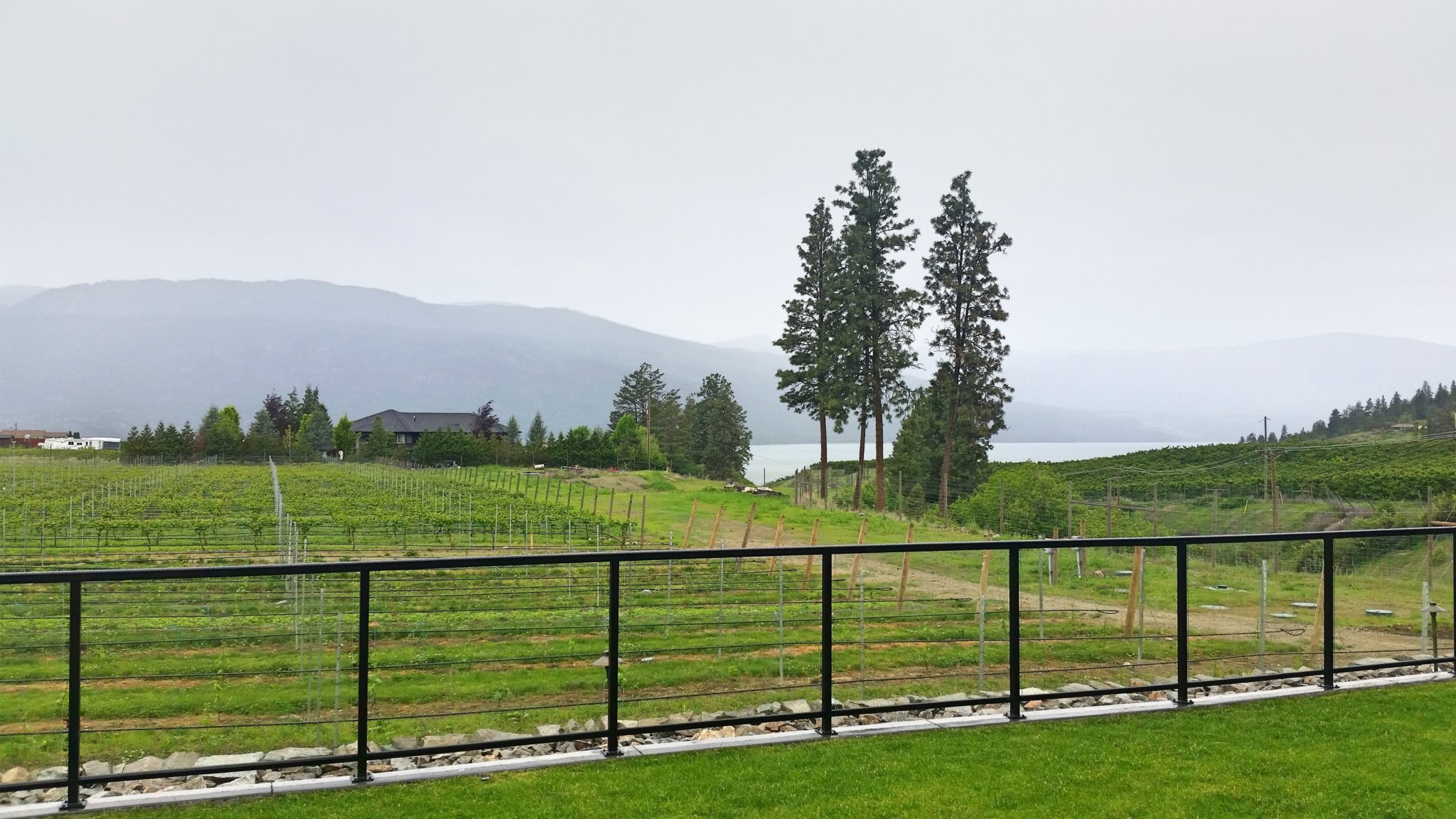 The hotsell chase winery