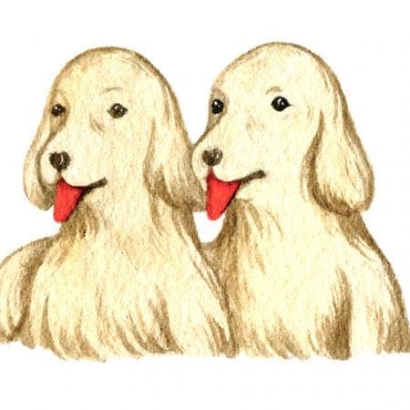 Bizou + Yukon