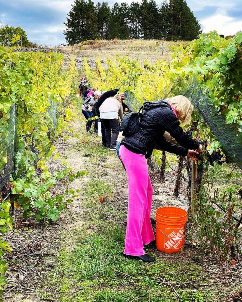 info@timewines.ca