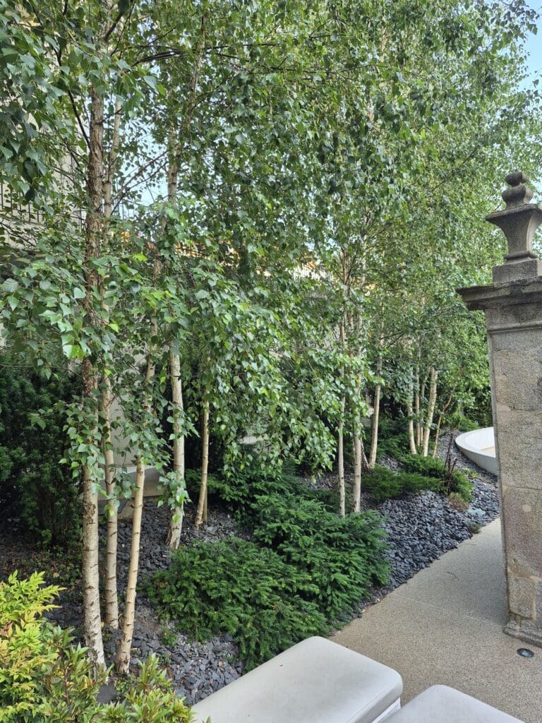Catalonia Porto Garden