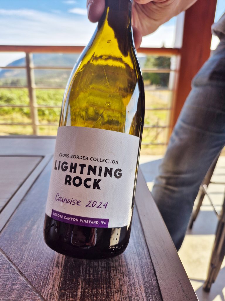 Lightning Rock 2024 Coyote Canyon Vineyard Counoise ($26)
