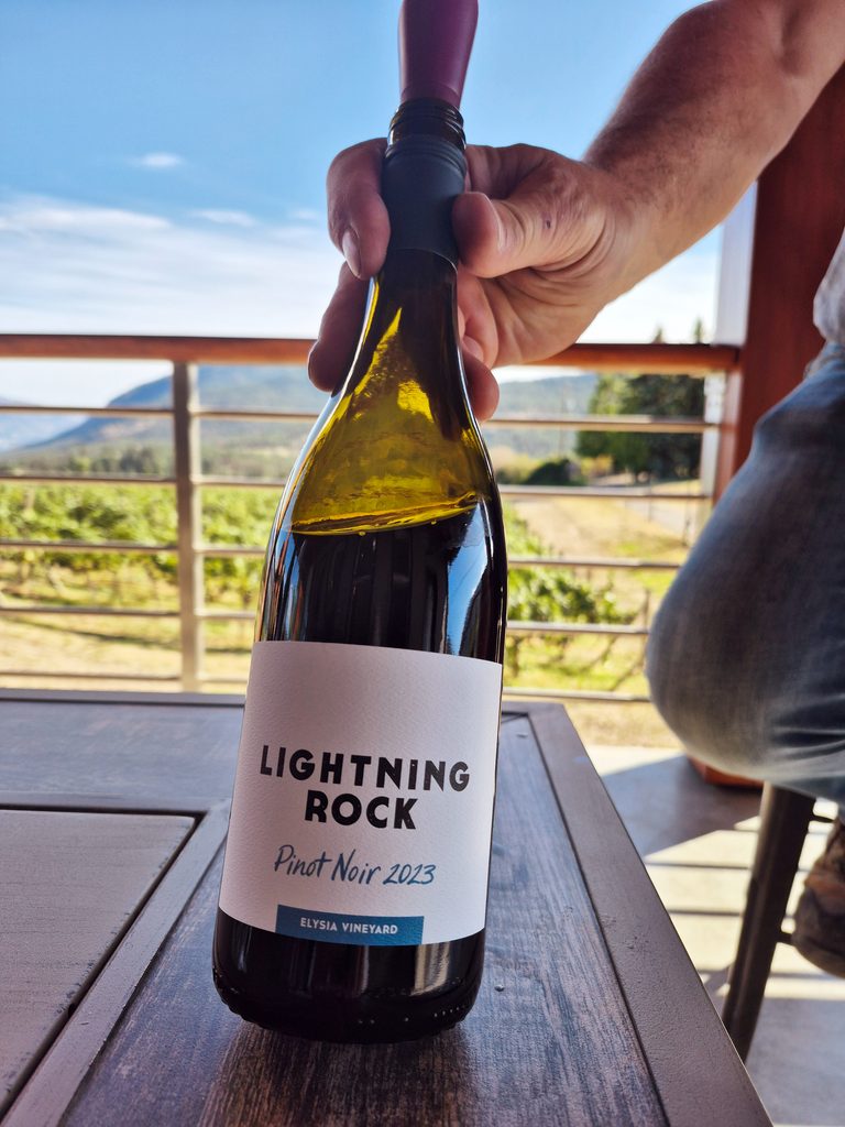 Lightning Rock 2023 Elysia Vineyard Pinot Noir ($38)
